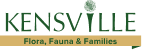 Savvy Kensville Logo